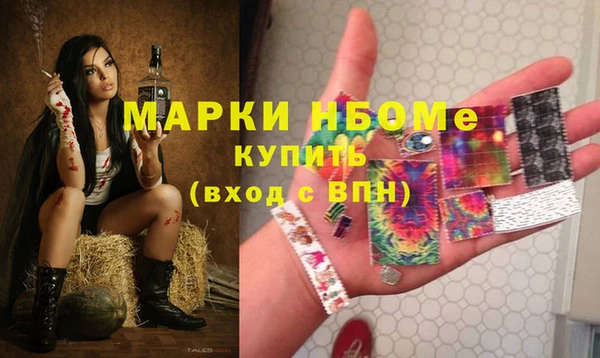 прущие грибы Бугульма
