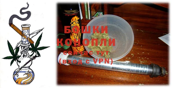 прущие грибы Бугульма