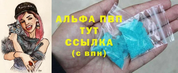 прущие грибы Бугульма
